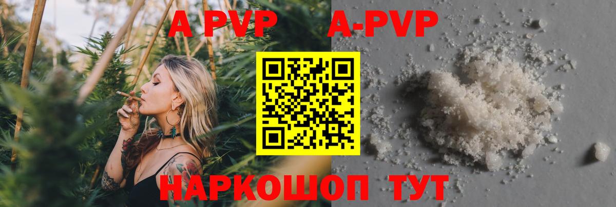 Альфа ПВП СК Курчатов