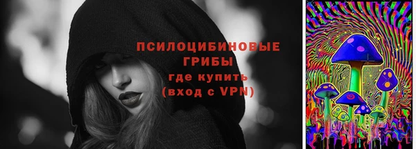 бошки Лабытнанги