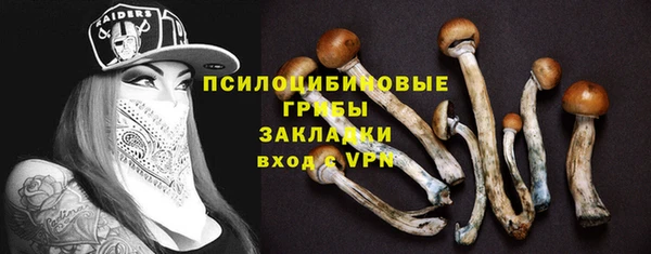 бошки Лабытнанги