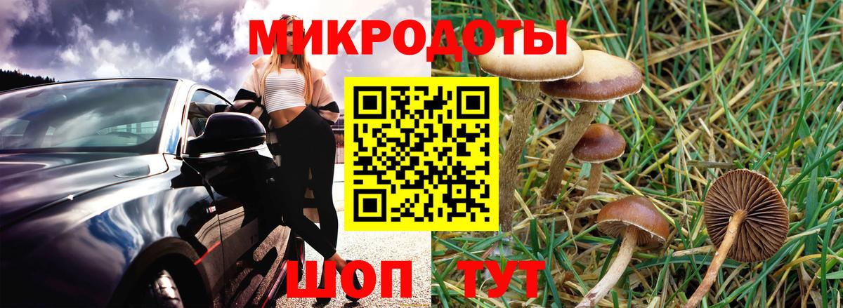 Экстази  Меф  Кокаин  МЕТ  Курчатов  Вход с VPN  Мефедрон   Канабис  ГАШИШ 
